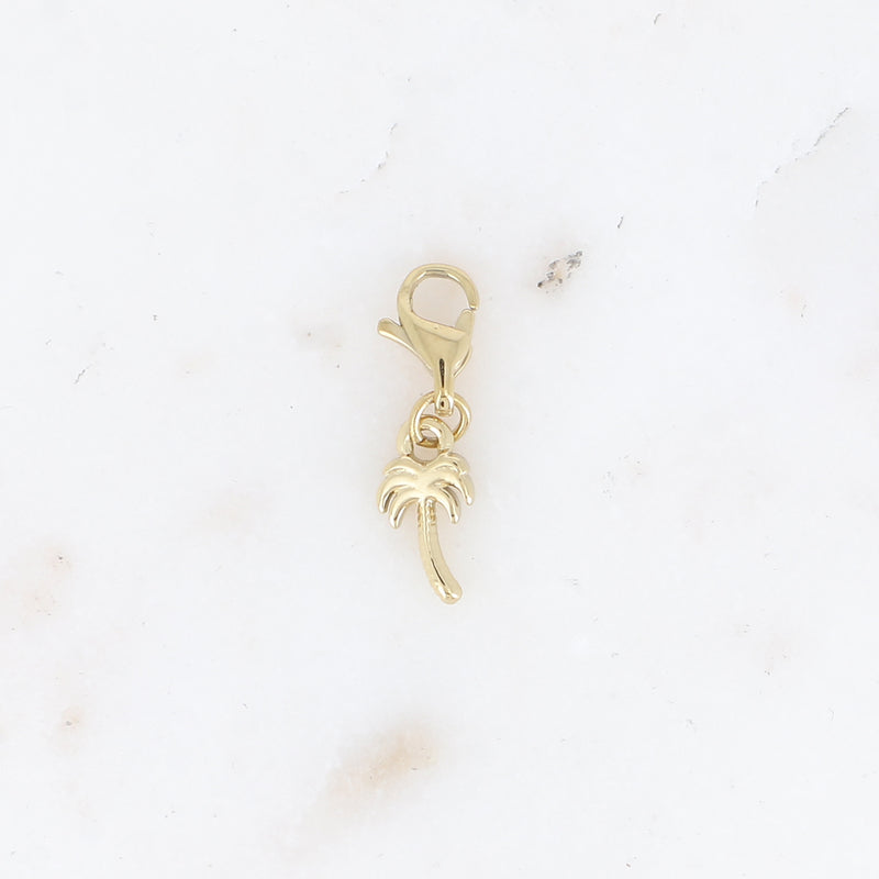 Charm Palmier