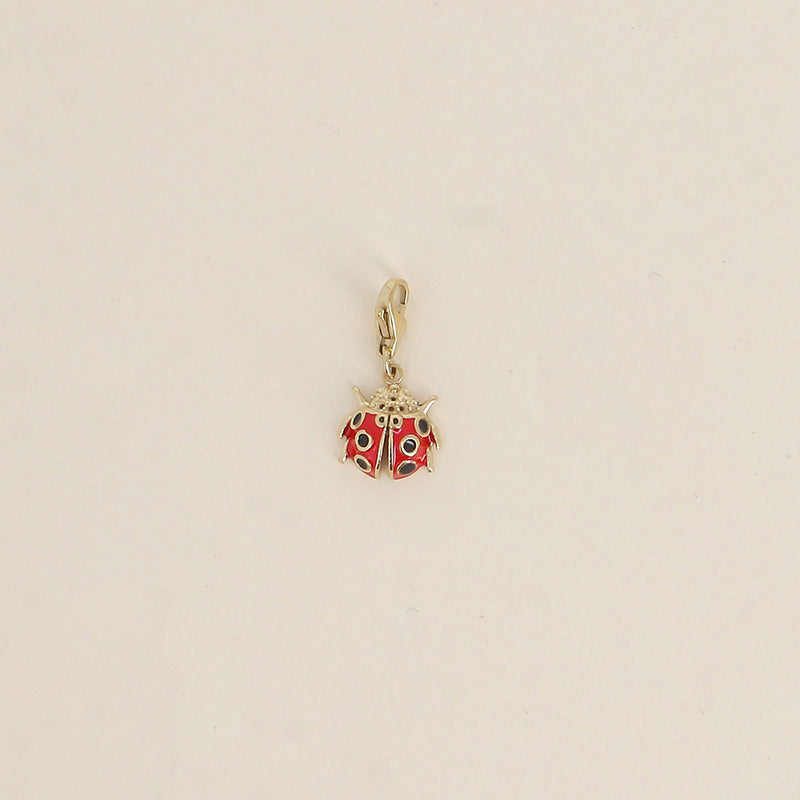 Charm Coccie