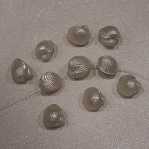 Coquillage naturel (lot de 10)