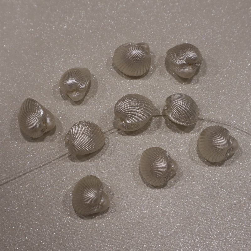 Coquillage naturel (lot de 10)