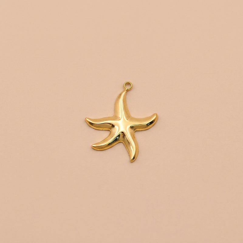 Pendentif Étoile de mer courbée