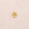 1 pièce
