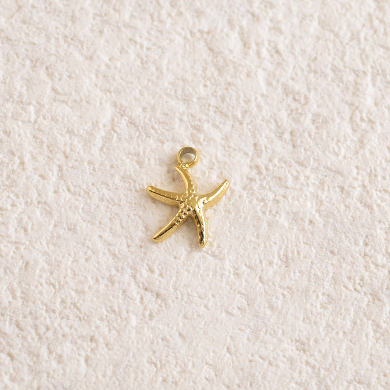 Pendentif mini starfish