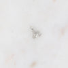 Image 25