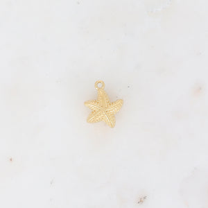 Pendentif Etoile de Mer