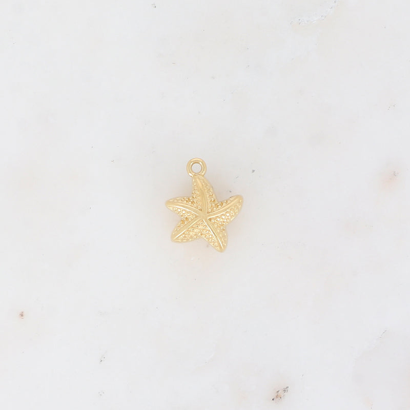 Pendentif Etoile de Mer